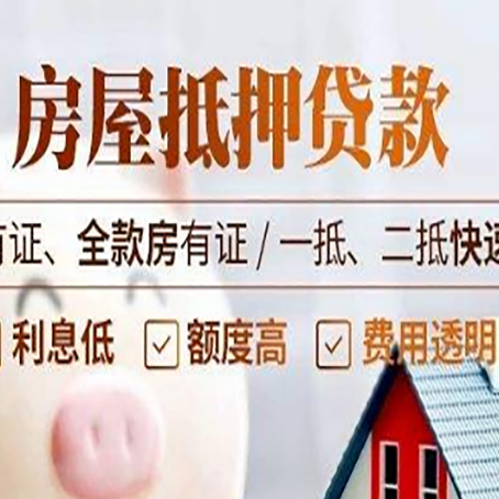 巴马贷款中介公司新渝启服要的资料