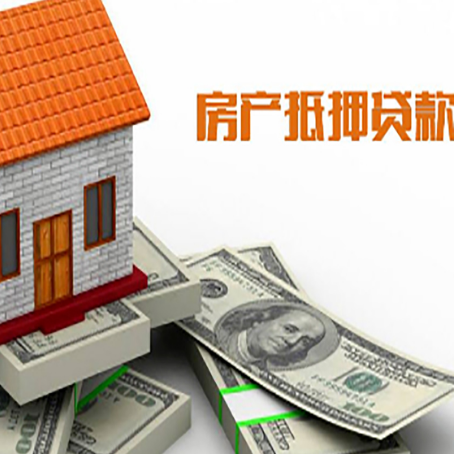 巴马贷款公司新渝启服怎么选择