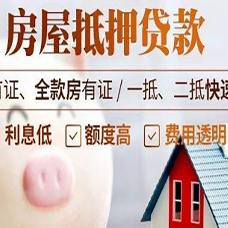 巴马贷款助贷公司新渝启服成立时间久