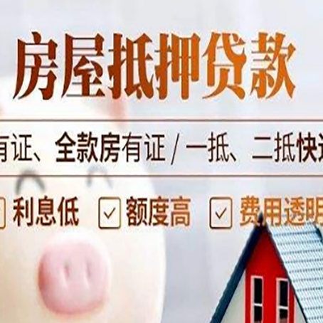 巴马贷款中介公司新渝启服本地公司