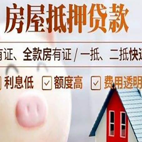 巴马贷款中介公司新渝启服实力公司